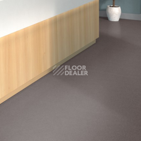 Tarkett iq Melodia 2617 фото 2 | FLOORDEALER